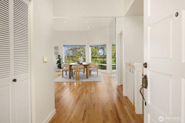 hall featuring light wood-style floors