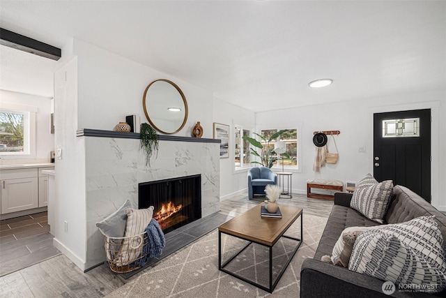 living area featuring a premium fireplace, baseboards, and wood finished floors