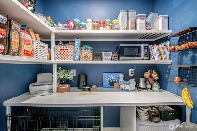 view of pantry