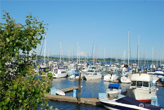 dock area featuring a water view