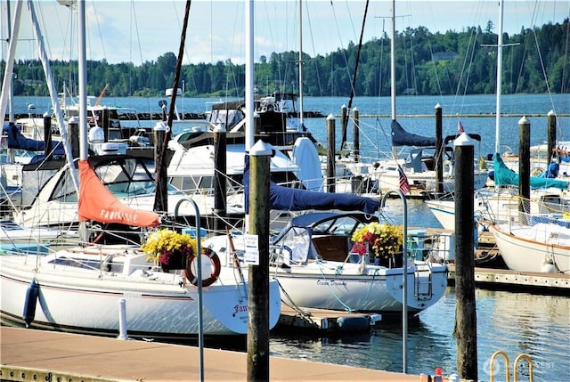 dock area featuring a water view