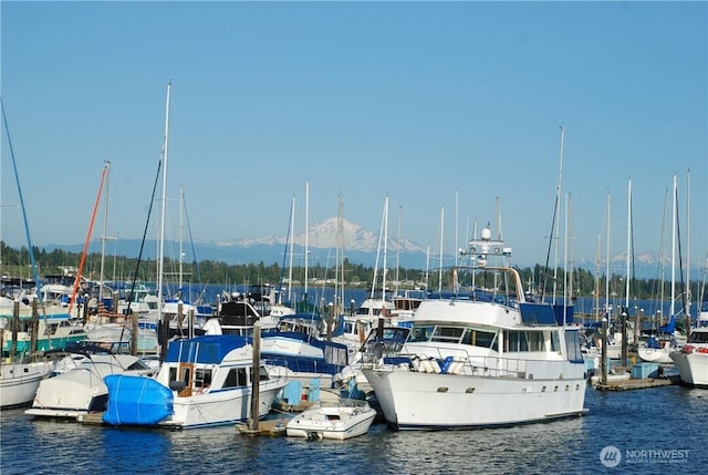 dock area with a water view