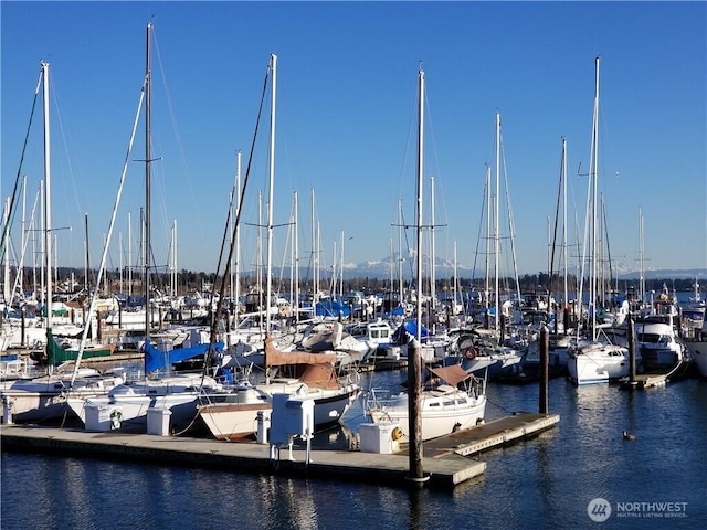 dock area with a water view