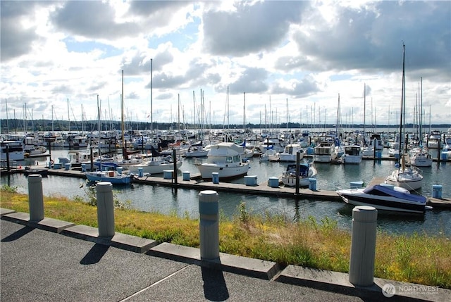 dock area featuring a water view