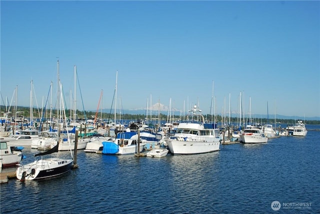 view of water feature featuring a dock