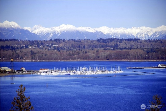 water view with a forest view and a mountain view