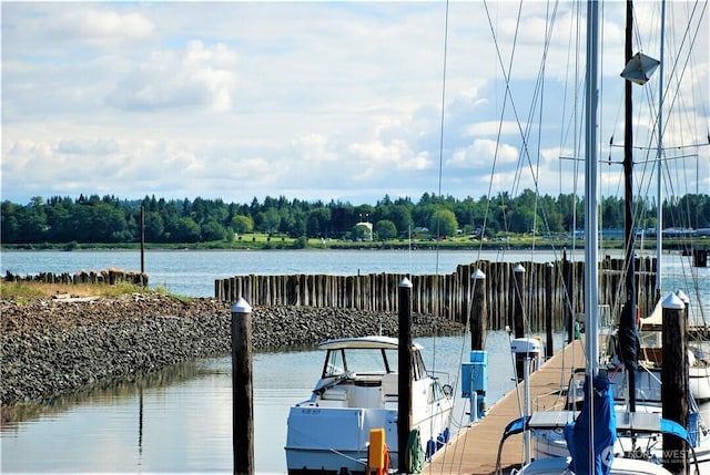 dock area with a water view