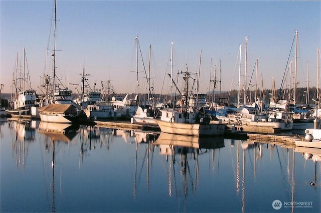 property view of water featuring a boat dock