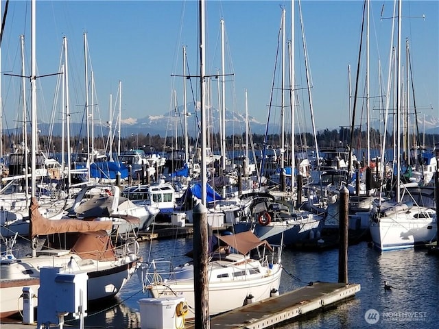 dock area featuring a water view