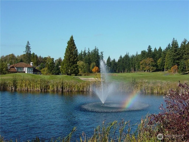 view of water feature