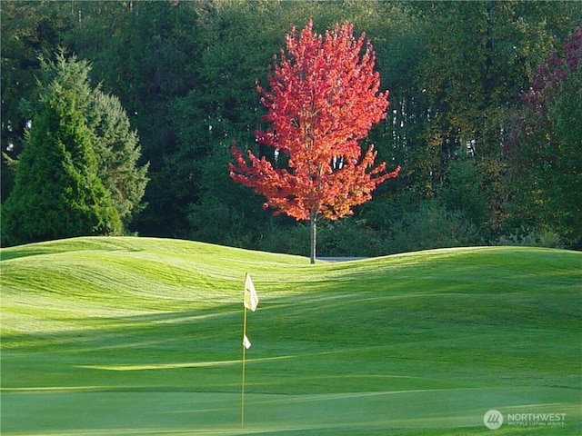 view of community with a yard and golf course view