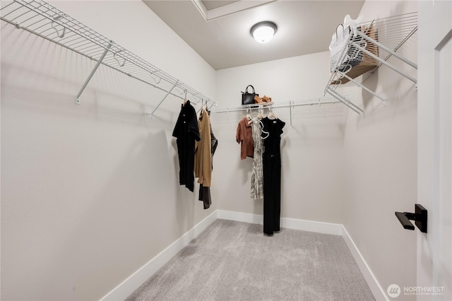 spacious closet with light colored carpet