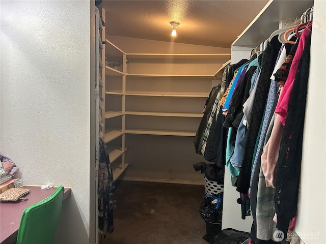 spacious closet featuring carpet floors