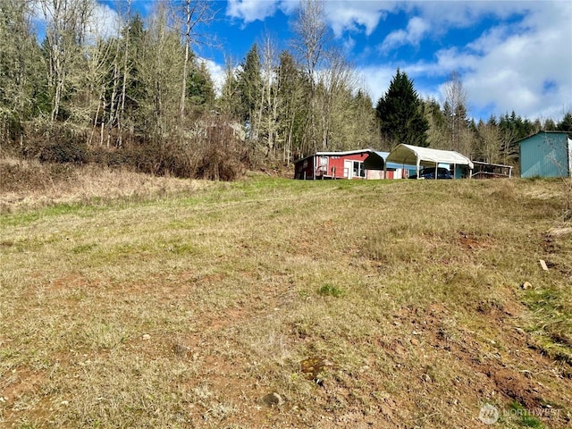 view of yard with an outbuilding, driveway, and a detached garage