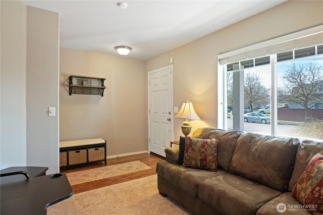 living area featuring baseboards and wood finished floors