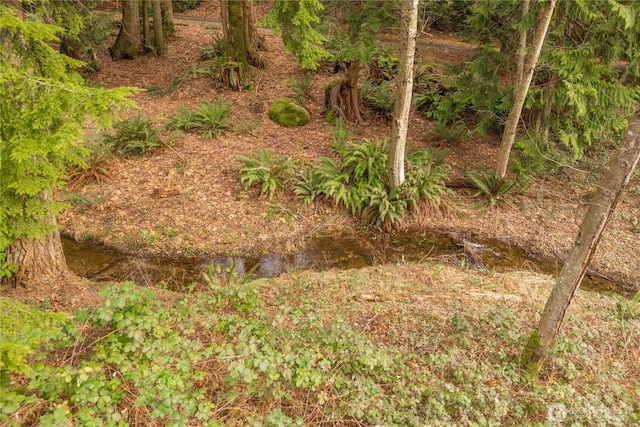 view of landscape