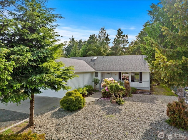 ranch-style home with a garage, covered porch, roof with shingles, and driveway