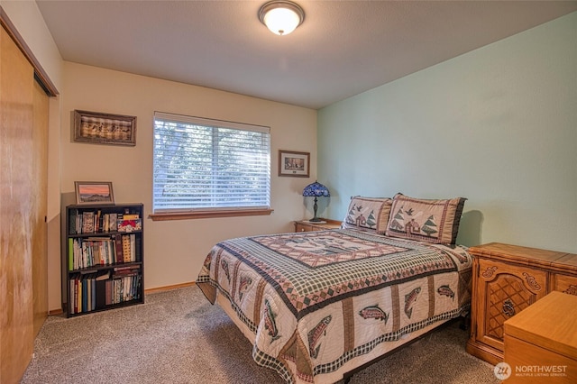 bedroom featuring carpet floors, a closet, and baseboards