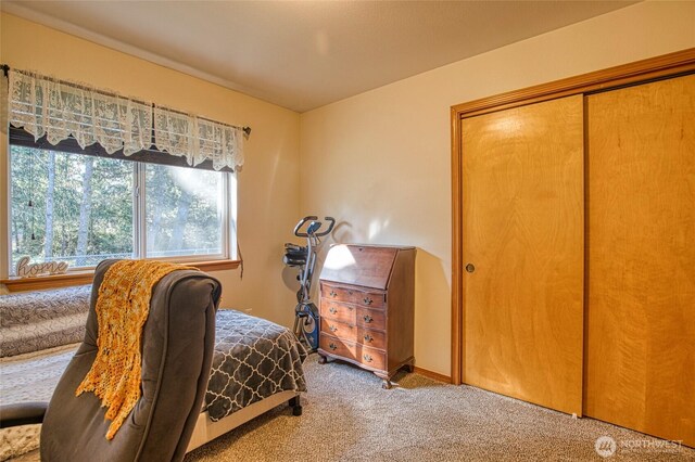 bedroom with carpet and a closet