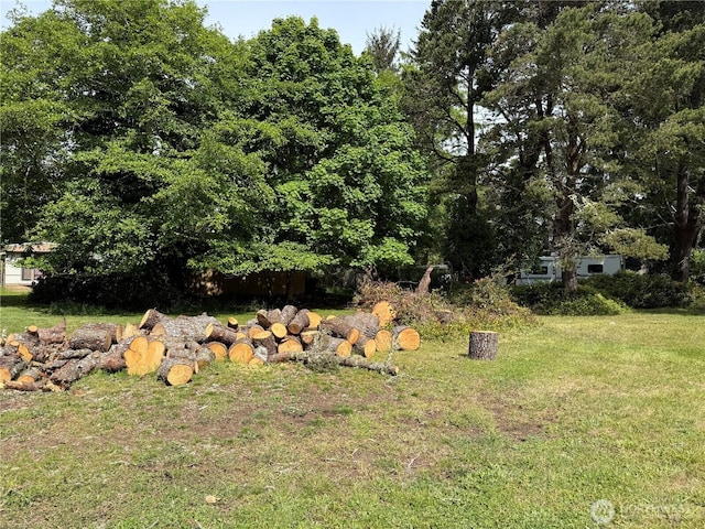 1305 322nd Pl, Ocean Park, WA 98640 - photo 2