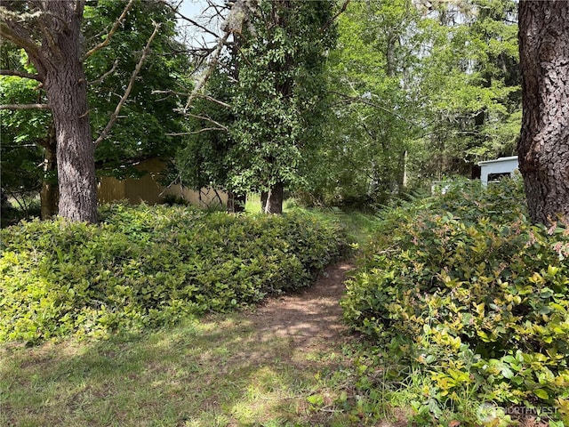 1305 322nd Pl, Ocean Park, WA 98640 - photo 4