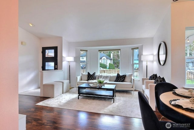 living area with lofted ceiling and wood finished floors