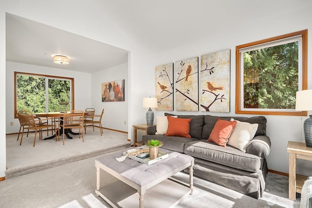 living room with carpet and baseboards