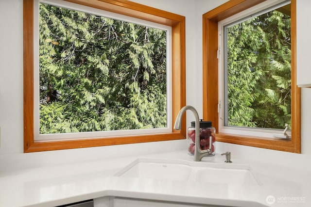 interior details featuring a sink