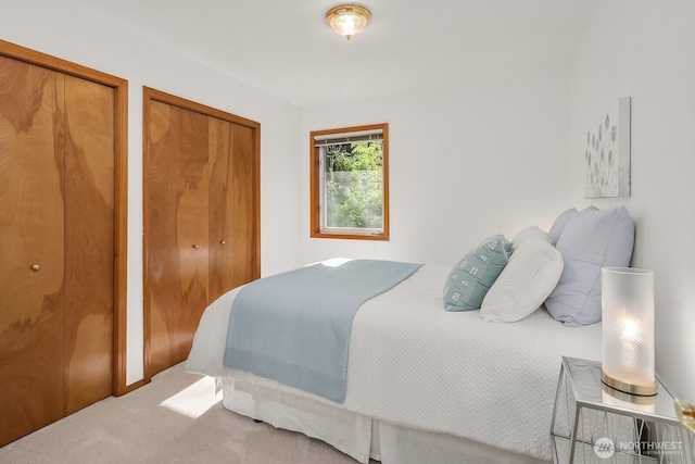 carpeted bedroom with multiple closets