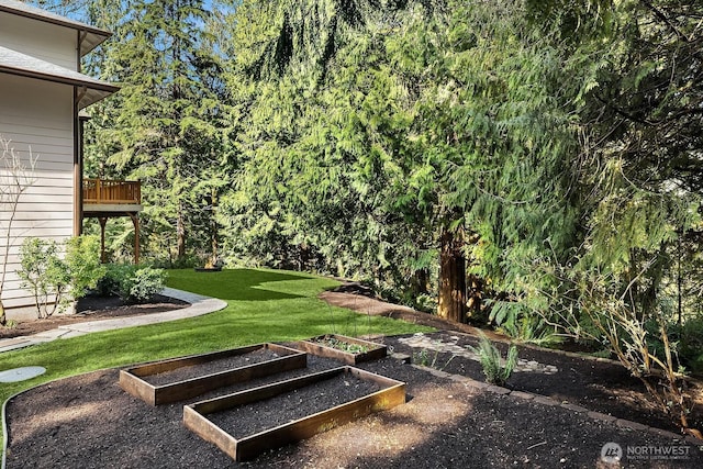 view of yard featuring a vegetable garden