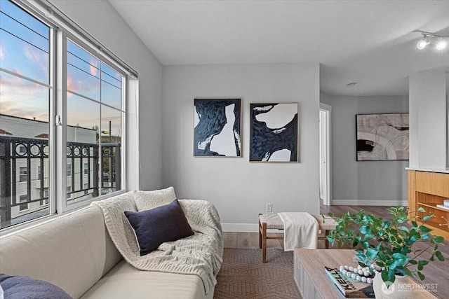 living area featuring baseboards and wood finished floors