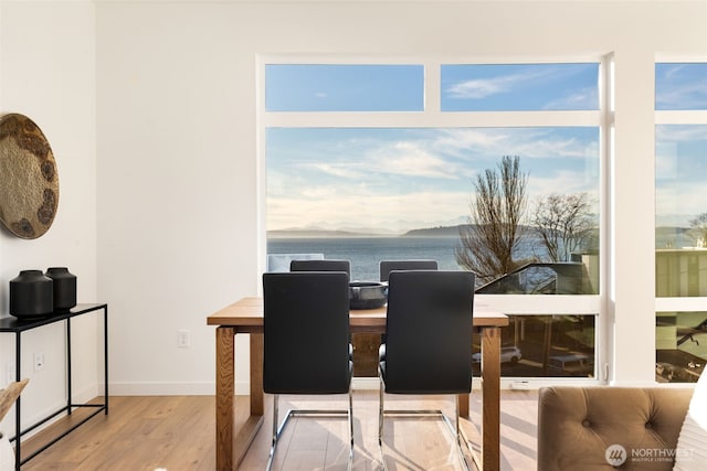 dining space featuring baseboards, wood finished floors, and a water view