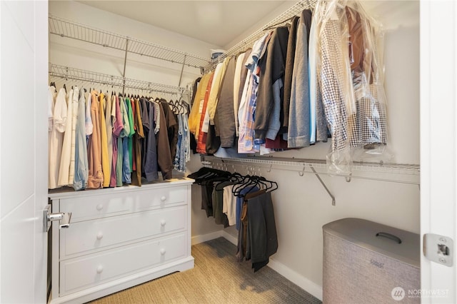 view of spacious closet