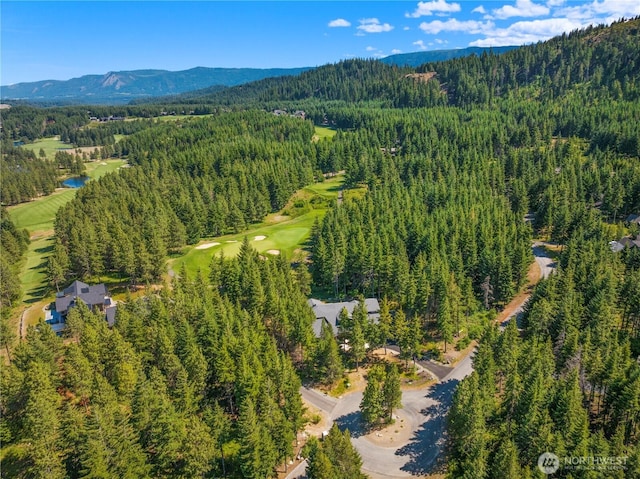 580 Fortune Creek Ln, Cle Elum, WA 98922 - photo 4