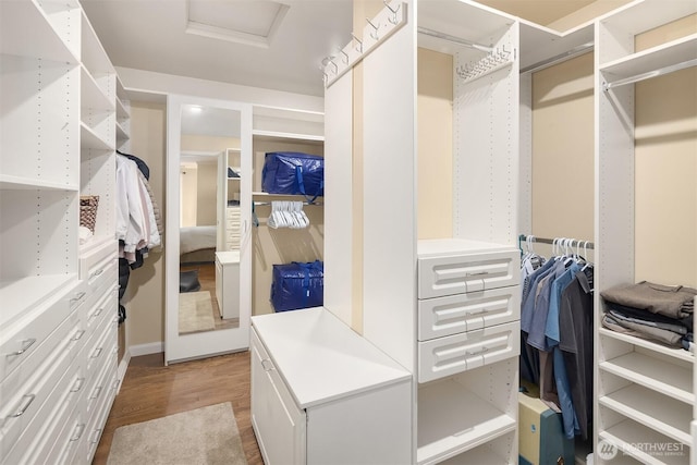 spacious closet featuring light wood-style floors and attic access