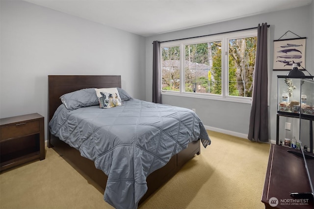 bedroom featuring baseboards and carpet flooring