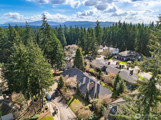 drone / aerial view with a forest view and a mountain view