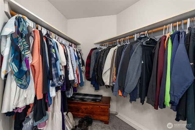 walk in closet featuring carpet floors