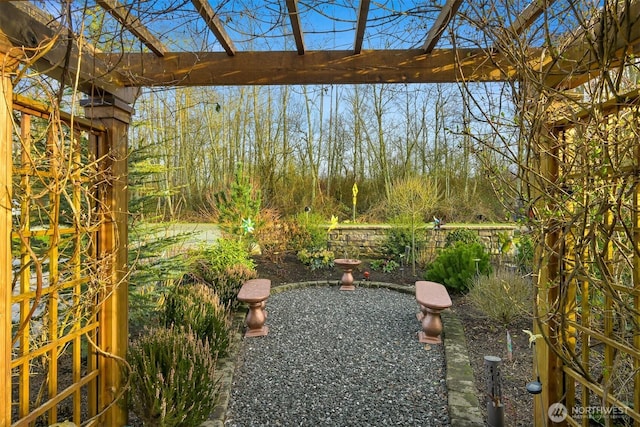 view of yard with a patio area