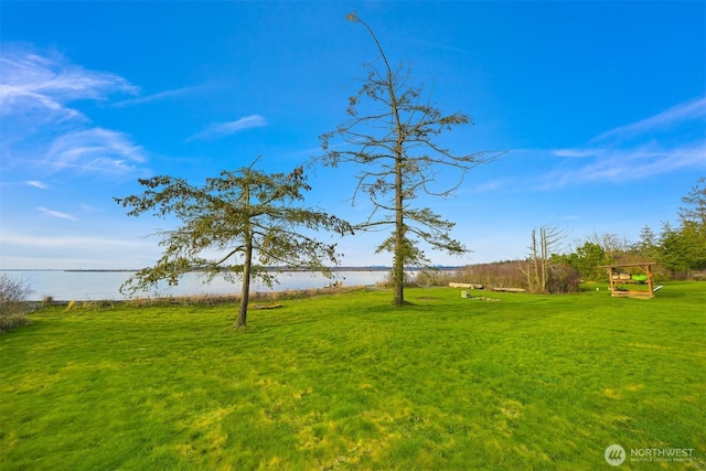 view of yard featuring a water view