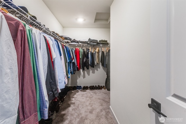 walk in closet with carpet flooring and attic access