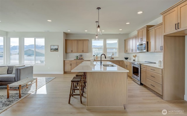 kitchen with a sink, light brown cabinets, and stainless steel appliances