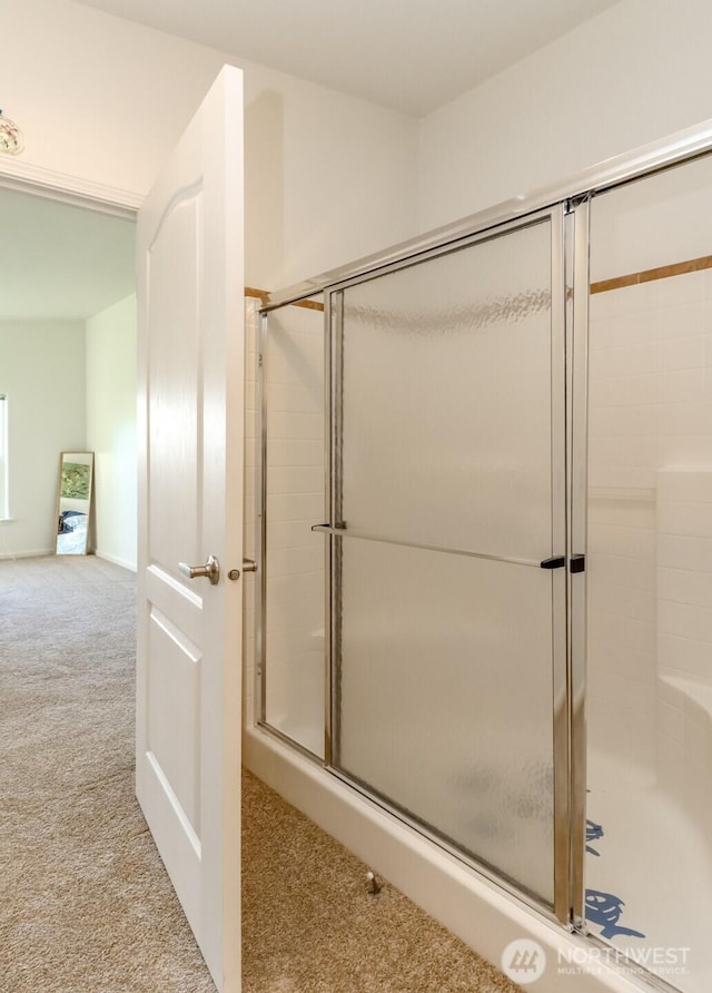 bathroom with a stall shower