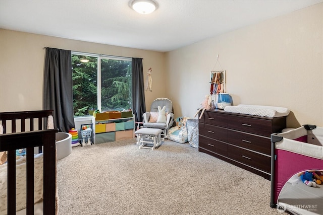 bedroom with carpet floors