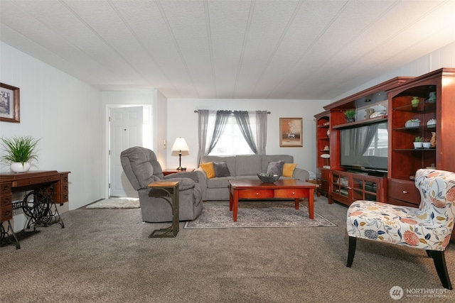 living area with carpet floors and a textured ceiling