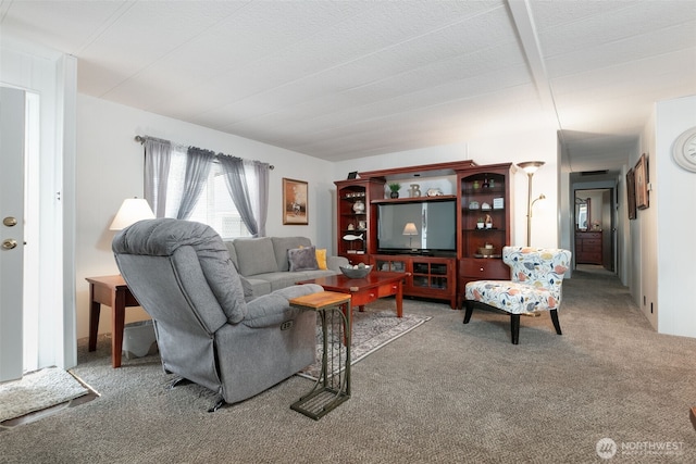 view of carpeted living area