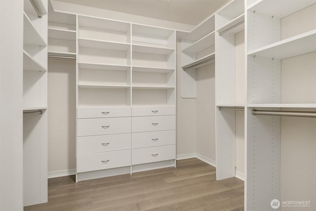 spacious closet featuring wood finished floors