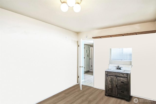 bathroom with wood finished floors and vanity