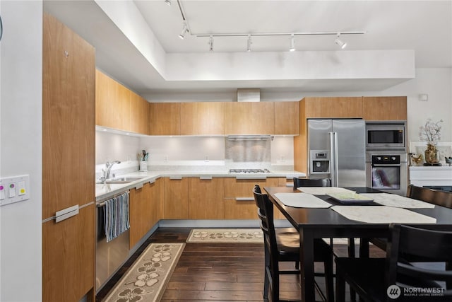 kitchen featuring appliances with stainless steel finishes, dark wood-style flooring, modern cabinets, and a sink