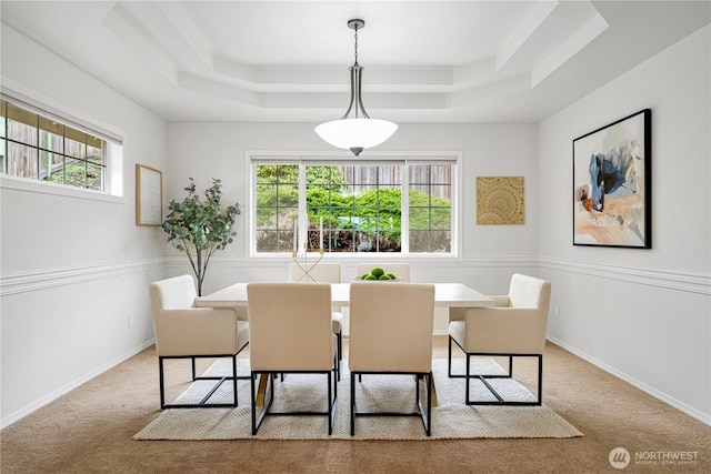 dining room with a wealth of natural light, a raised ceiling, and carpet floors